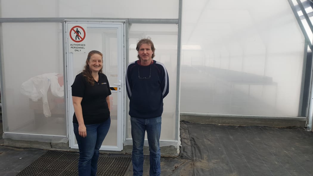 Nari Williams and Colin Faulds in front of the 'kauri house' at Scion, which houses thousands of kauri seedlings.