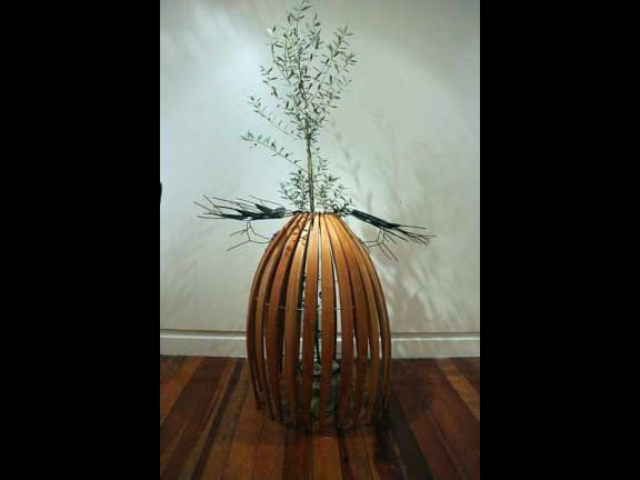 4rhik74 gallery image 523