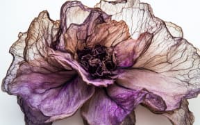 Work by Kim Newall, Maggie Buxton and Midjourney