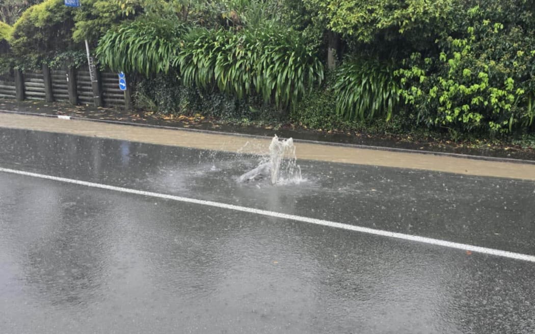 Flooding in Nelson, on Emano Street.