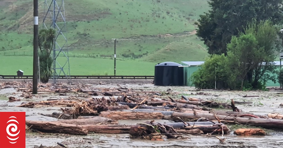 Tolaga Bay farmer seething as forestry slash causes floodwaters to