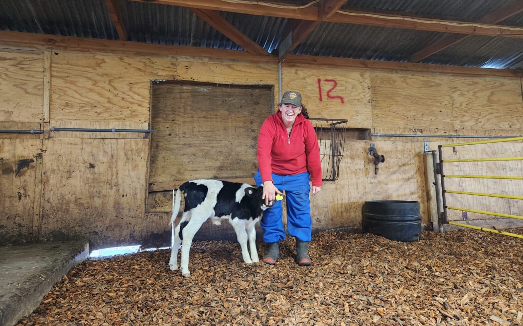 Stacey rears some 300-plus calves during the season
