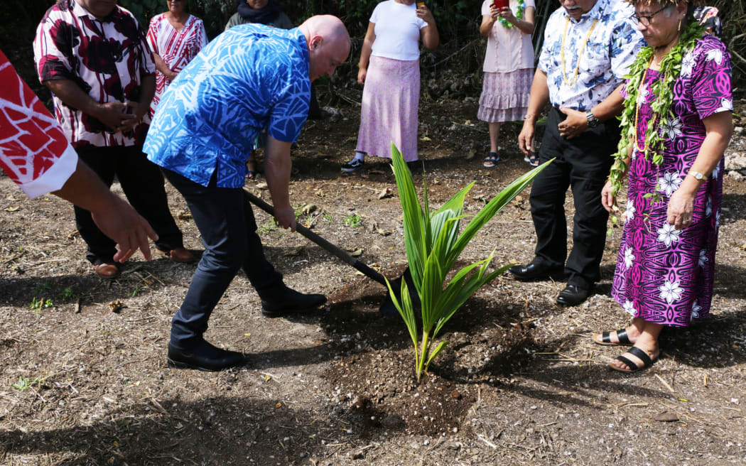 Christopher Luxon planting a coconut tree in Niue.