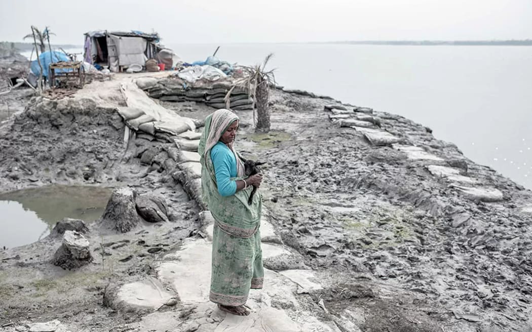 Una imagen de los Mangrove Photography Awards, organizados por Mangrove Action Project.