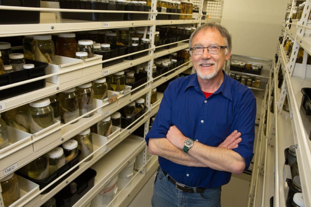 Andrew Stewart, Collection Manager of Sciences at Te Papa