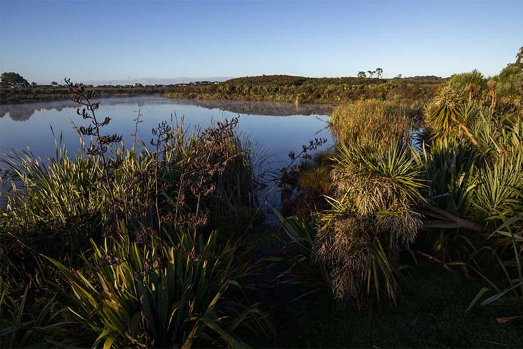 Waiwhakareke Natural Heritage Park
