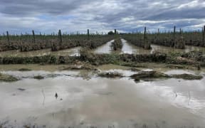 Flooding in Hawke's Bay after Cyclone Gabrielle.