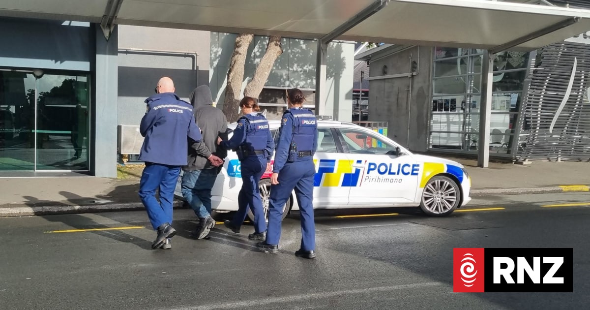 Explainer: What is a citizen's arrest and how do you make one?