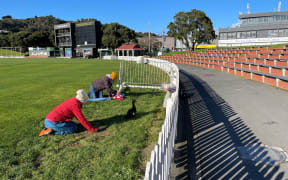 Diane Morgan sprawls onto the Basin Reserve turf to catch Sophie Devine.