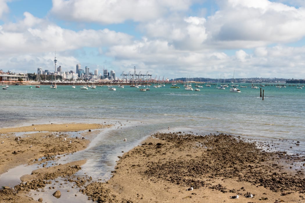 Hobson Bay Beach, Auckland.