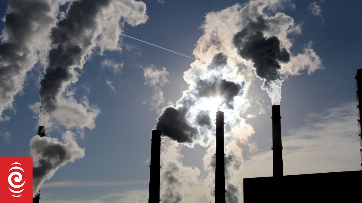 National promised a 'strong and stable' carbon market