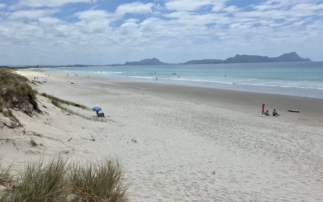 Northland was quiet mid week (SUBS: January 13 2026) but hundreds of people crowded its hot sand and warm calm waters over the weekend as an outbreak of jellyfish attacks broke out Photo John Subritzky via LDR PLEASE CREDIT. SINGLE USE ONLY,