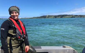 Could pipefish and penguins help us figure out how species adapt to climate change? University of Canterbury scientist Dr Sarah Flanagan aims to find out
