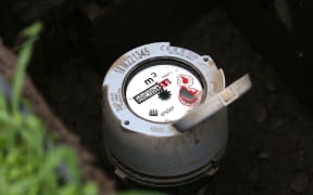 A water meter in Seddon - the first town in Marlborough to have meters rolled out in 2000.