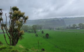 Manawatu pasture is leaping away