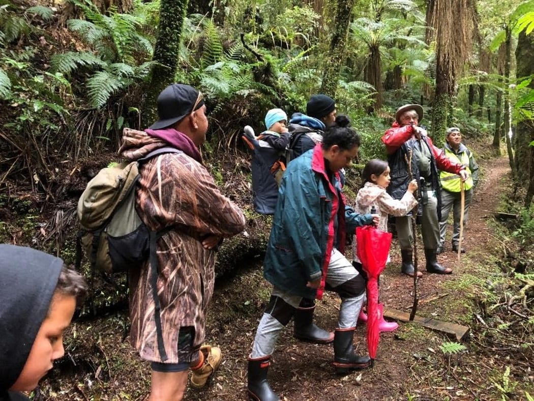 Te Rūnanga o Te Whānau a Apanui chief executive Rikirangi Gage says it is important for iwi to involve its young people in the restoration project at Raukūmara Forest.
