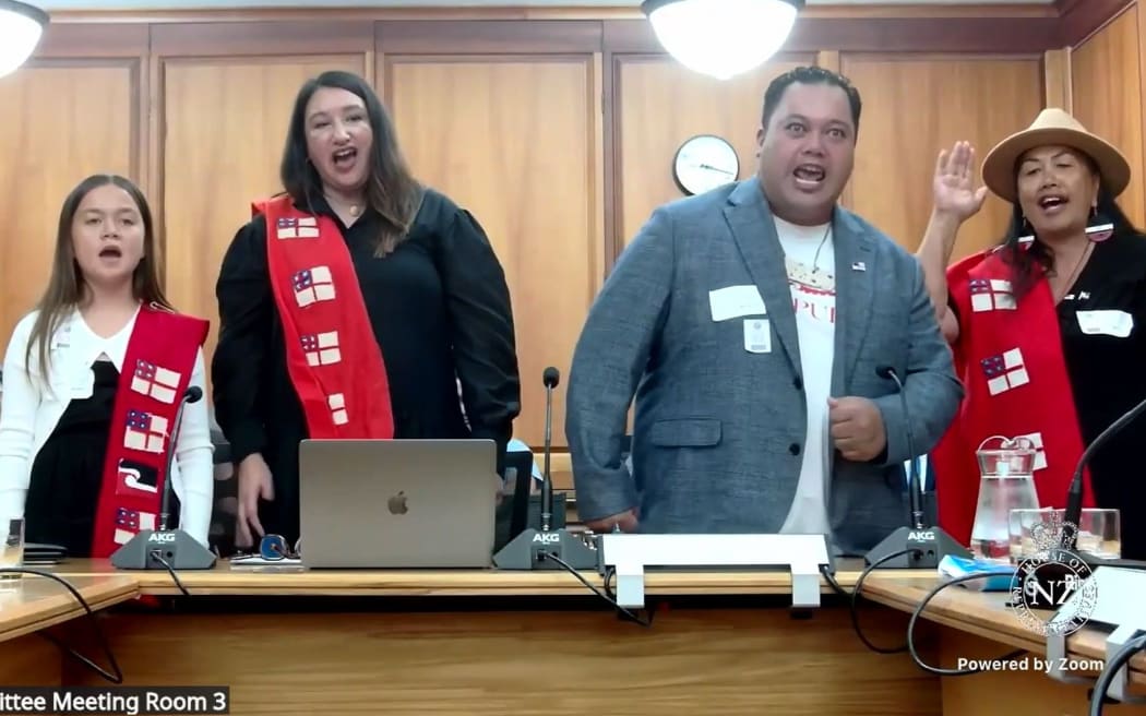 Submitters on the Treaty Principles Bill at the Justice Select Committee end their submission with a brief haka.