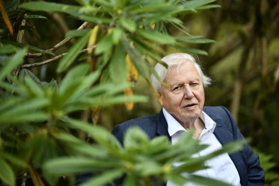 GOTHENBURG 2018-09-06
Sir David Attenborough is seen  at the Botanical gardens in Gothenburg, Sweden in September 2018