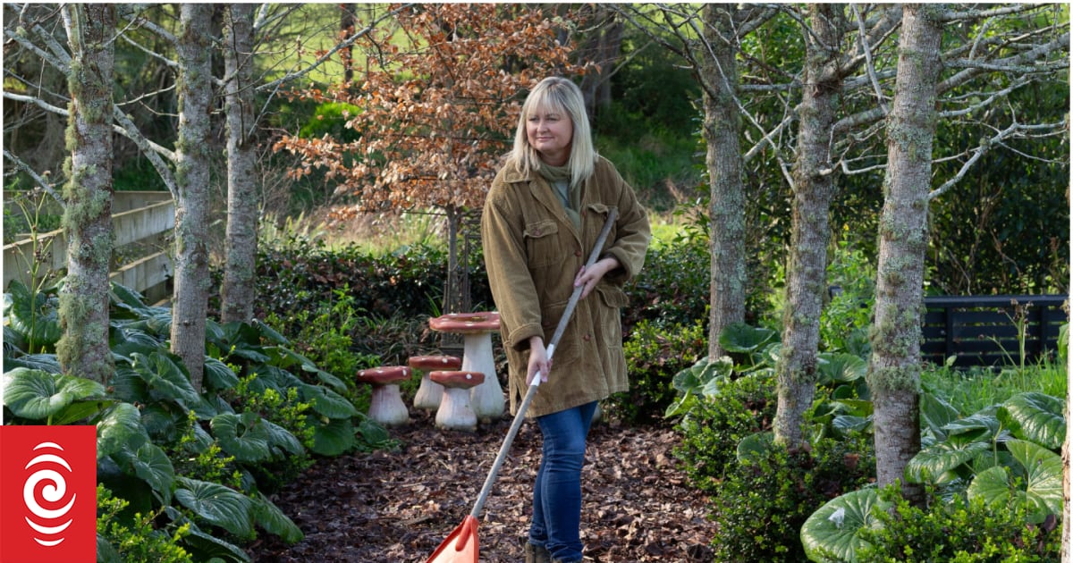 What you need to do now to get your garden ready for spring | RNZ