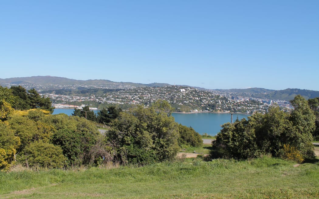 The view looking west at the rear access point to the prison: Evans Bay and Matairangi.