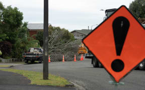 A tree covers a street in the New Plymouth suburb of Merrilands after strong winds today.