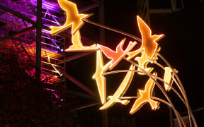 Manu (birds) light up Queen St for Matariki