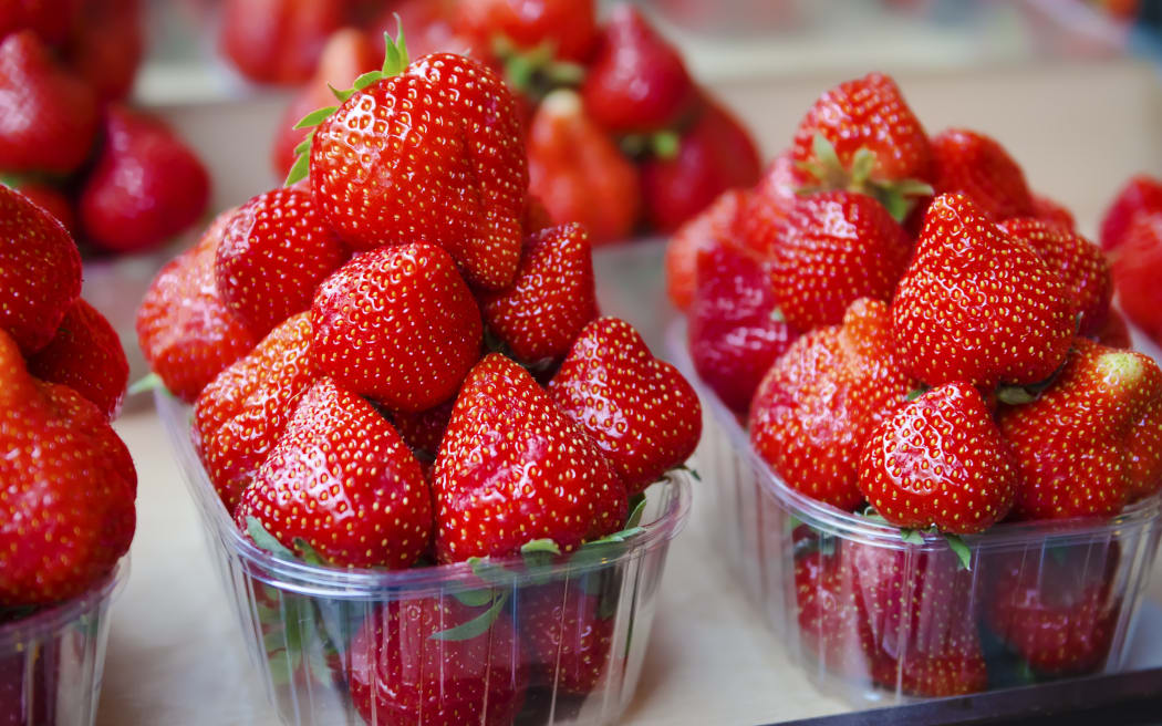Fresh strawberry at market in plastic boxes.