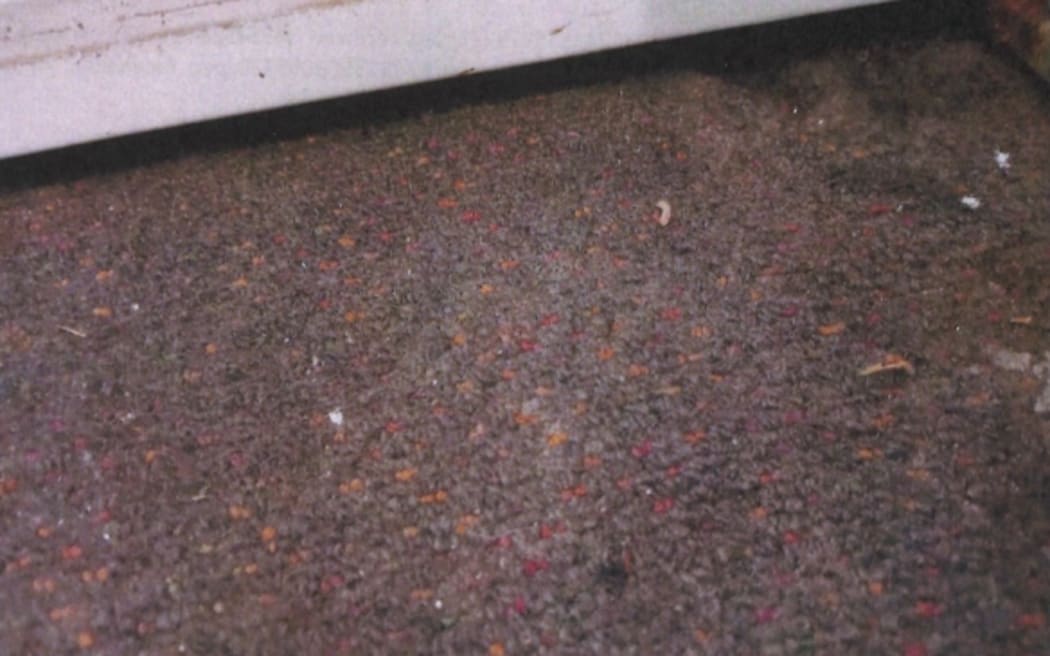 Multiple agencies visited Spa Lodge following a complaint of maggots on the floor.