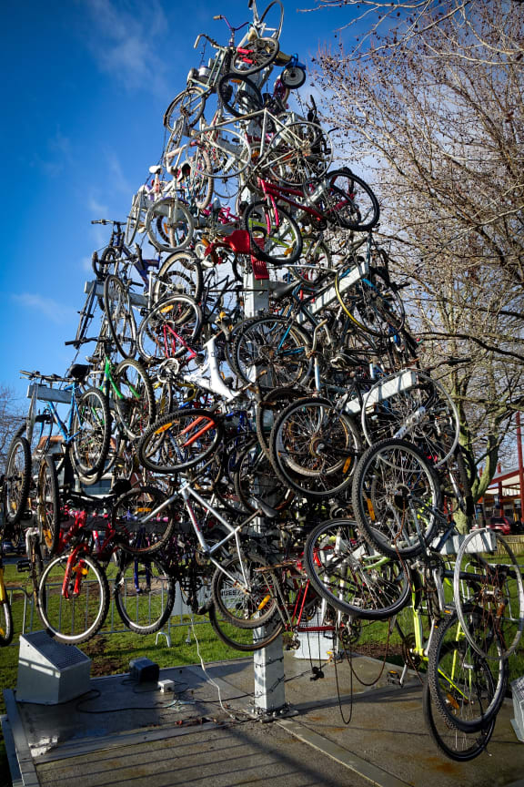 A temporary public art piece in Rotorua called 'Bike Tree' containing 150 bikes and bike parts.