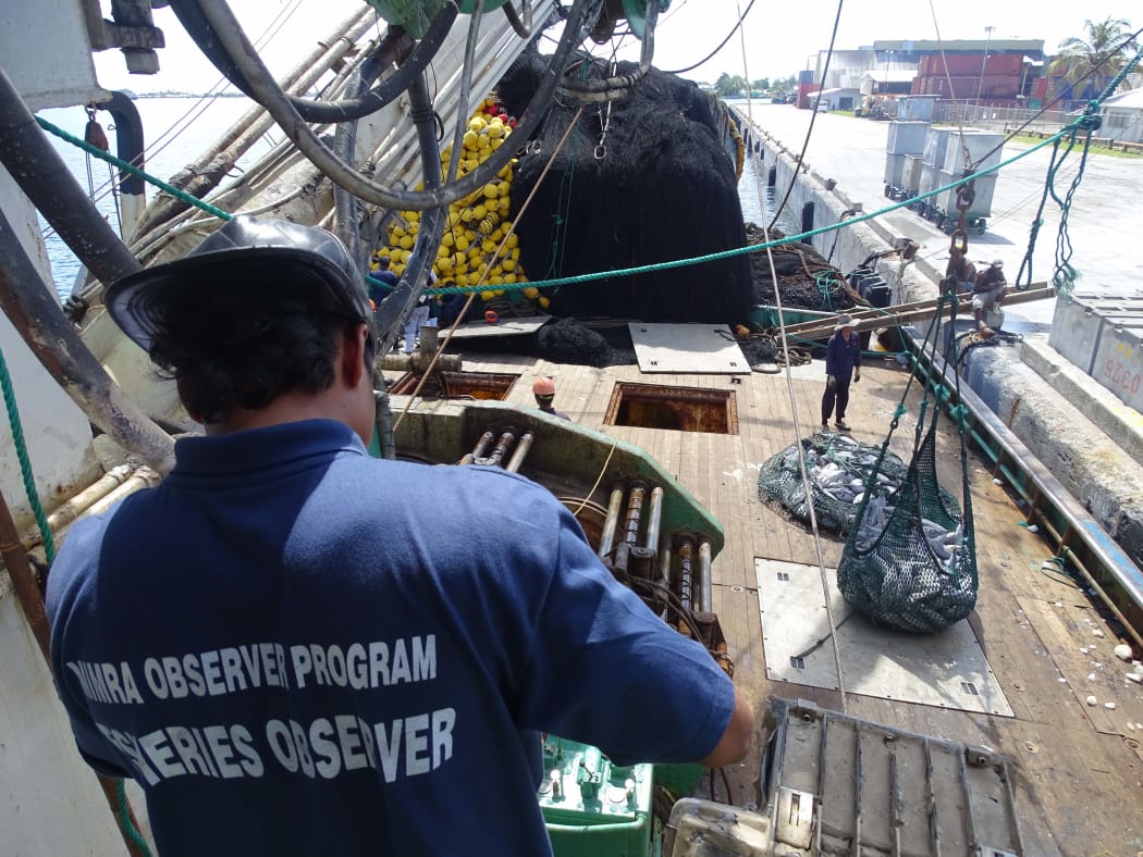 Hundreds of purse seine fishing vessels annually transship their catches of tuna to carrier vessels in Majuro lagoon for shipment to off-shore canneries.