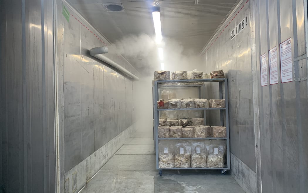 Mushroom fruiting chamber