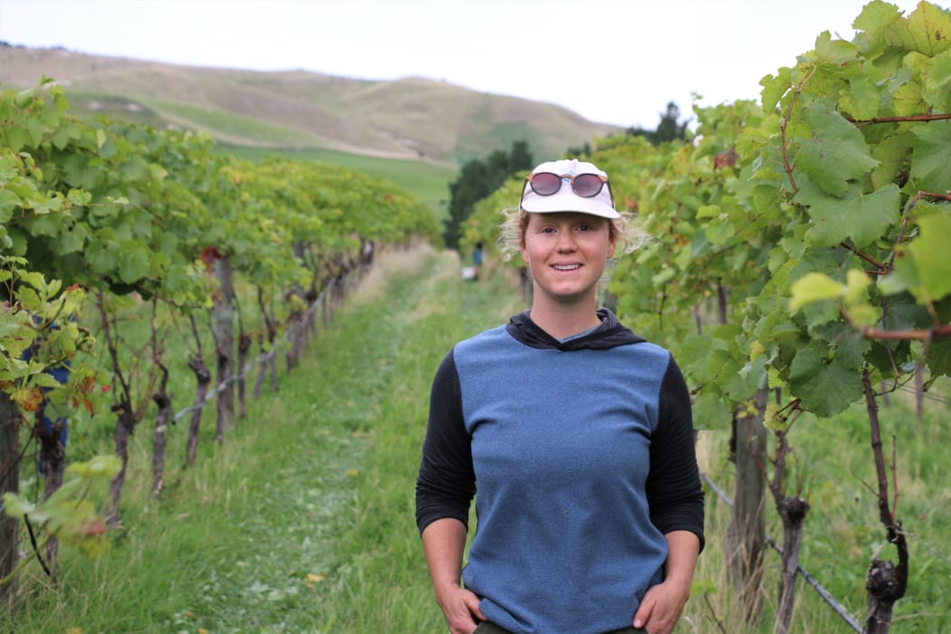 Vineyard ferment at Greystone Wines