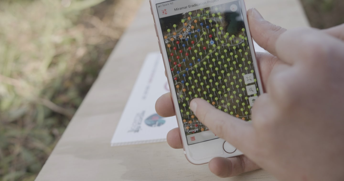 High tech software maps grid of traps for Miramar Eradication Project, Wellington