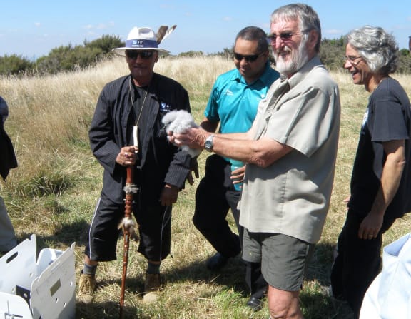 Project leader Ken Hunt holding a newly arrived Cook's Petrel chick.