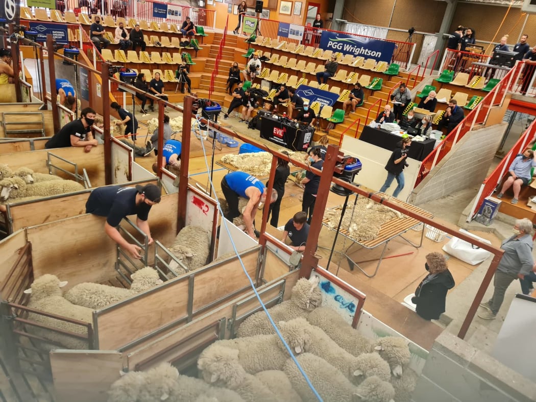 Woolhandling championship