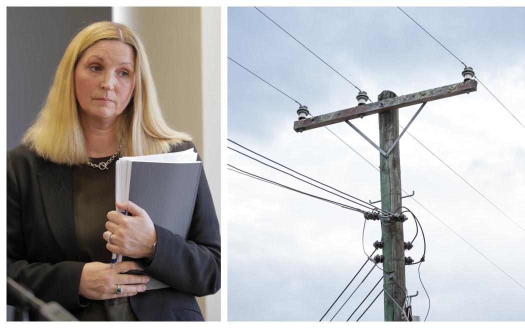 Electricity Authority chief executive Sarah Gillies.