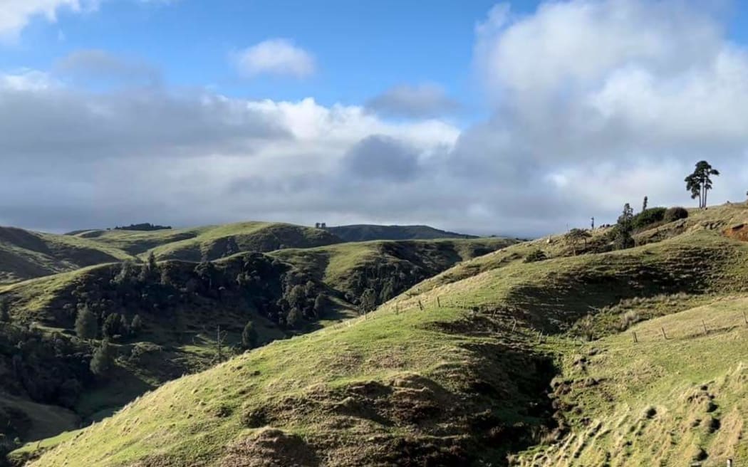Waikato