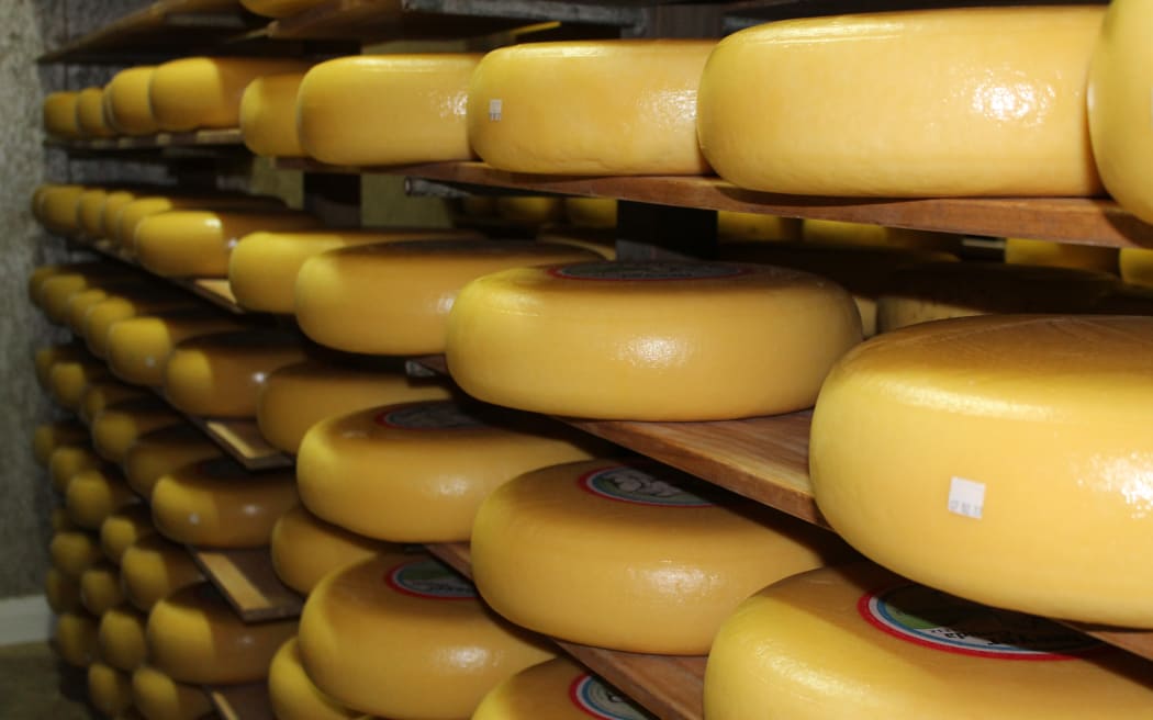 Dutch Cheese