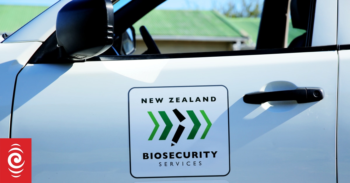 Fruit and vegetables movement restricted after fruit fly found