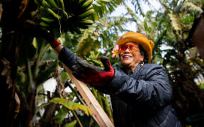 Haitelenisia Manu in her garden on Pilkington Road in Tamaki