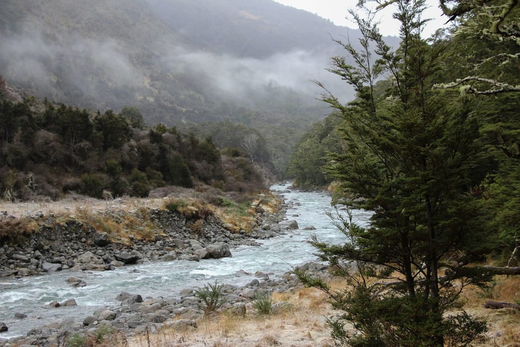 Boyle River between Boyle Flat Hut and Boyle Village. St James Walkway, New Zealand