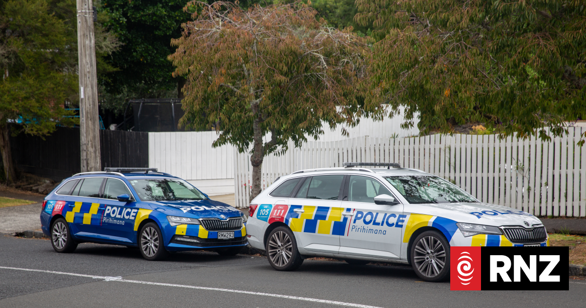 Death on road in Auckland's Mt Albert not suspicious, police say - RNZ