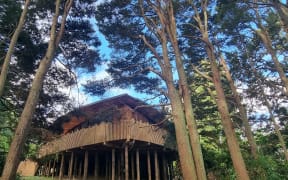 Gaia Earth Forest Preschool has been built in a native forest in Manurewa.