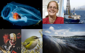 Best of 2020: Our Changing World