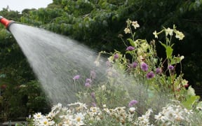 Napier and Hastings cities are under Level 3 water restrictions, which means only hand-held hoses can be used on gardens.