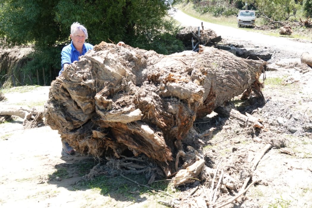 Julie Rush stands next to a huge tree stump that washed on to her property.