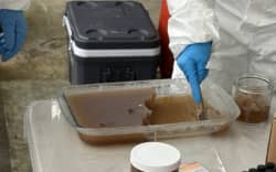 Meth bust in Auckland - Operation Haste