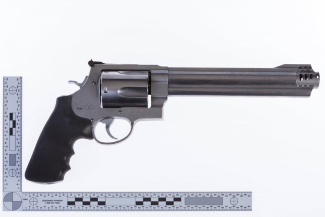 One of the pistols stolen from a Dunedin property.