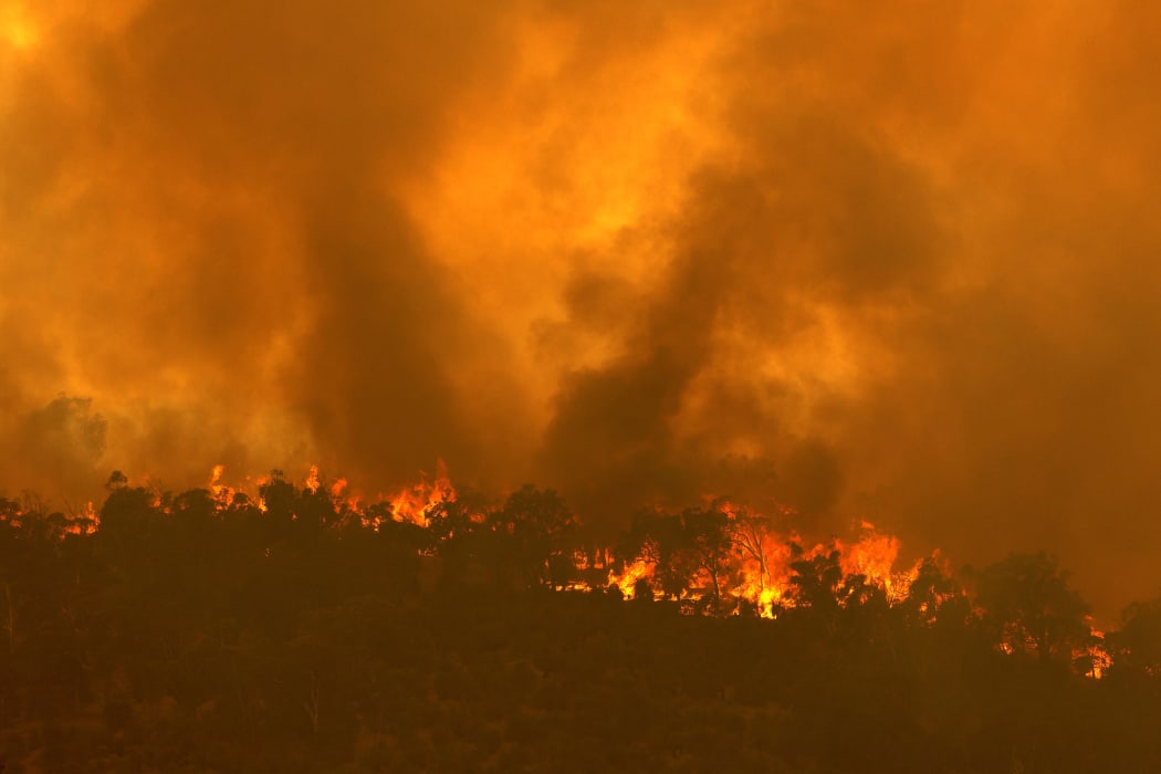 A fire driven by strong winds burns on a ridge in the suburb of Brigadoon in Perth