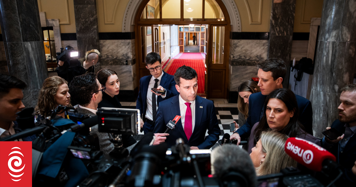 The Treaty Principles Bill has been released Here's what's in it RNZ